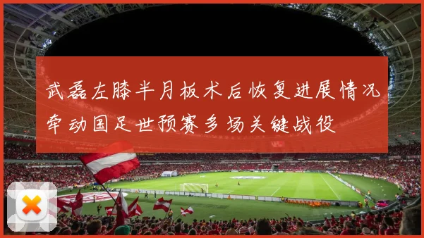 武磊左膝半月板术后恢复进展情况牵动国足世预赛多场关键战役