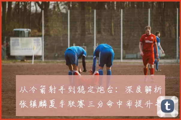 从冷箭射手到稳定炮台：深度解析张镇麟夏季联赛三分命中率提升之谜